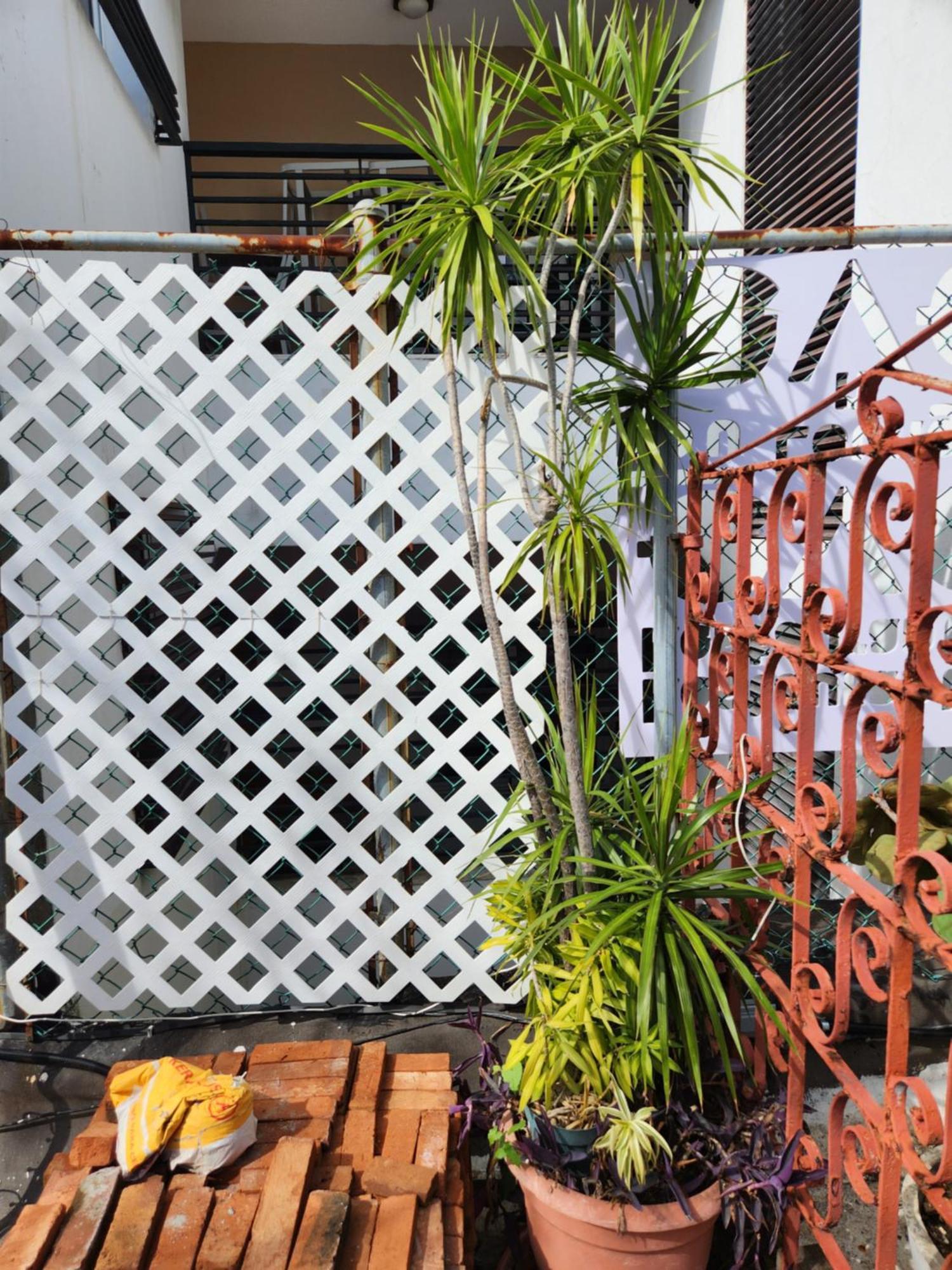 Fabulous Rooftop 2 Colonial Room For 4 Santo Domingo Zimmer foto